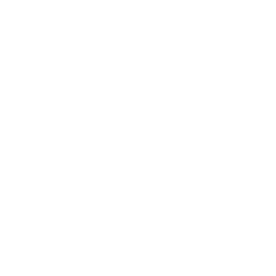 icona-millionsd'euros